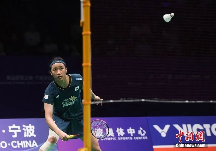 其开发的 其开发的